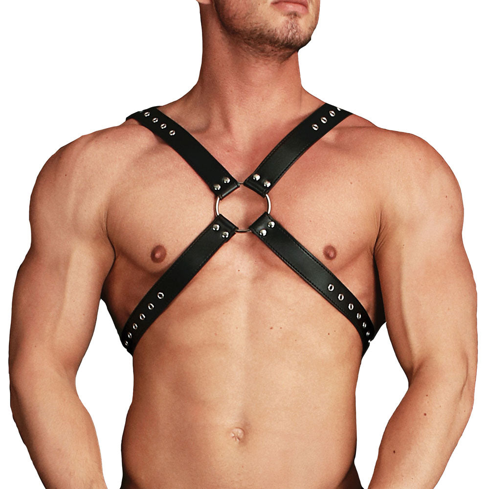 Ouch Adonis High Halter Harness